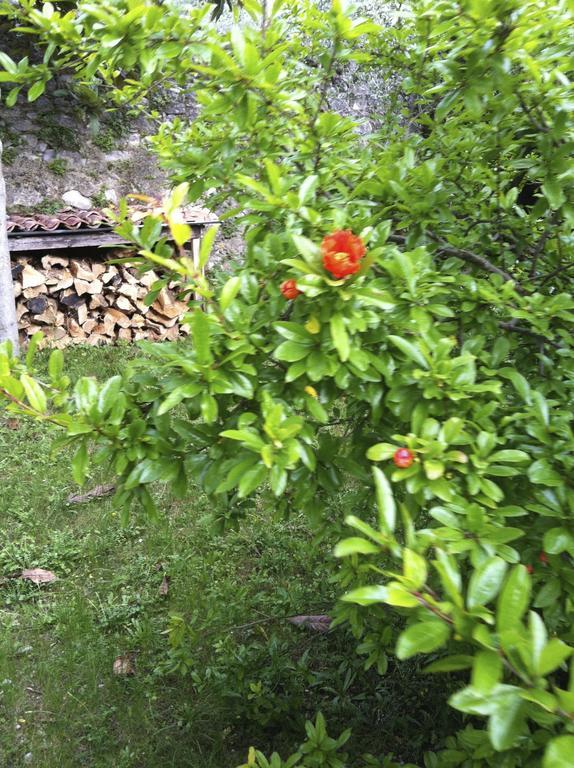 3 Rooms Apartment Whit Balcony And Lake Wiew Malcesine Bagian luar foto
